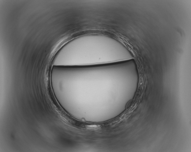 X0000114700053200910211018