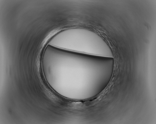 X0000114700054200910211018