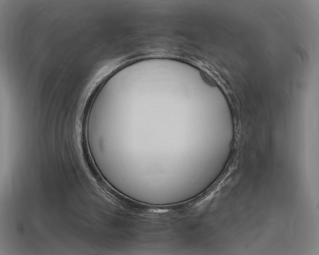 X0000114700055200910211018