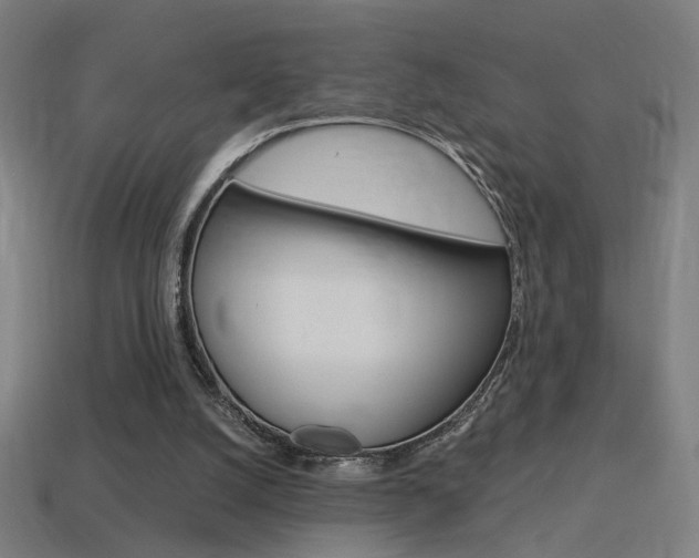 X0000114700056200910211018