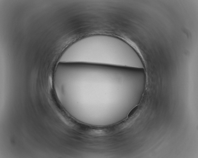 X0000114700061200910211018