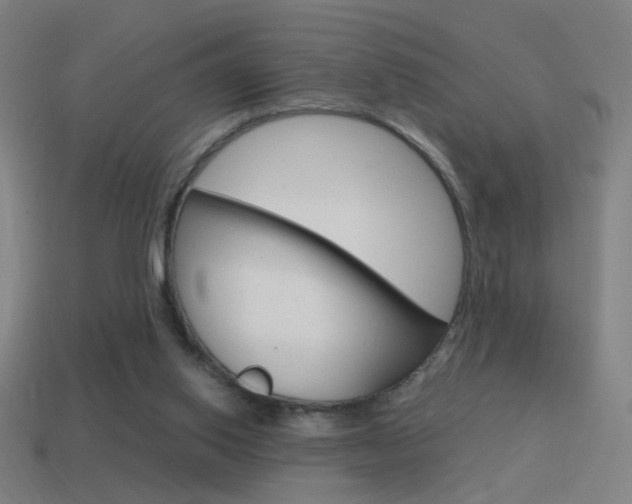 X0000114700062200910211018