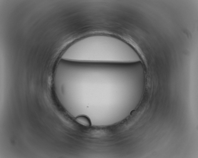 X0000114700063200910211018