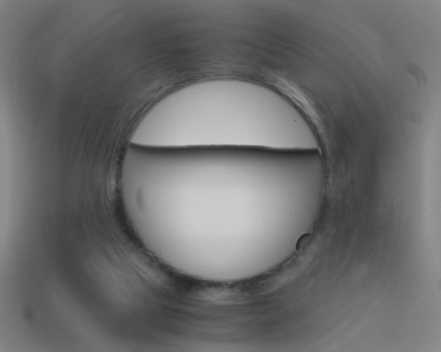 X0000114700065200910211018