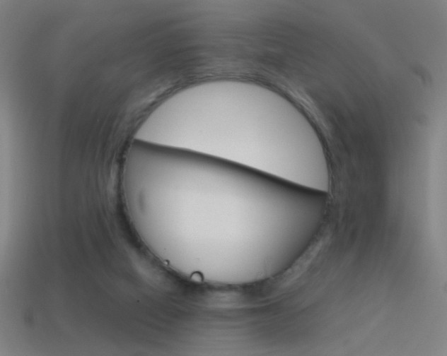 X0000114700066200910211018