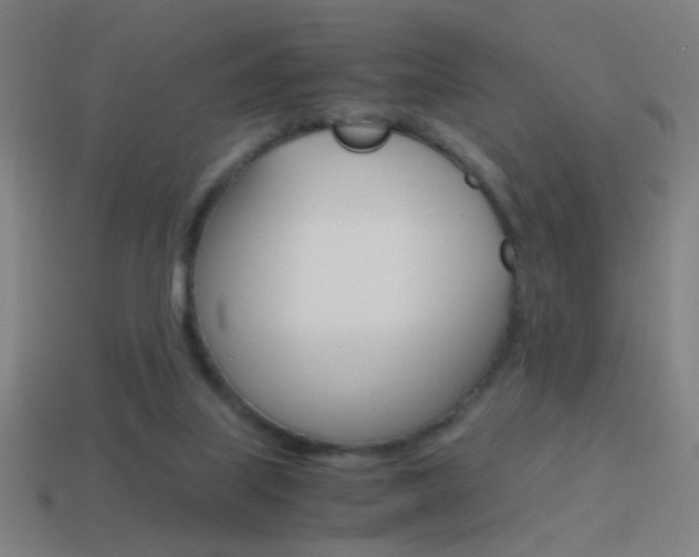 X0000114700067200910211018