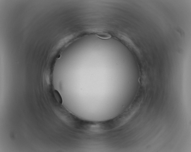 X0000114700068200910211018