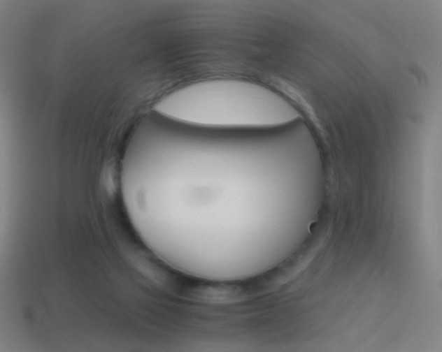 X0000114700069200910211018