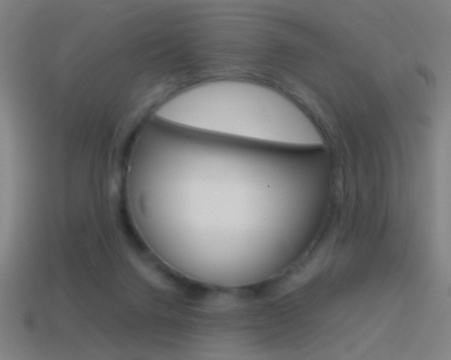 X0000114700072200910211019