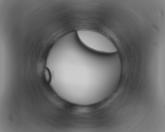 X0000114700073200910211019