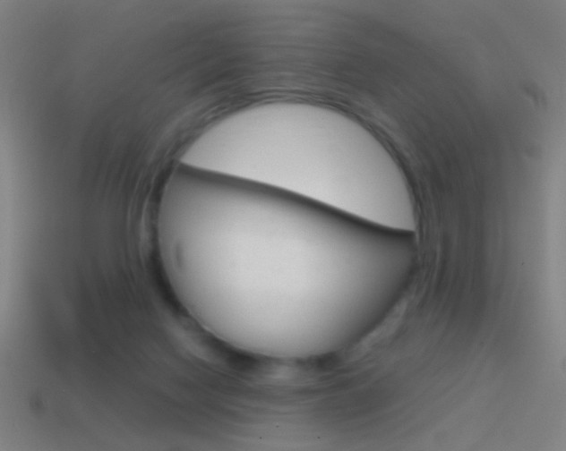 X0000114700074200910211019