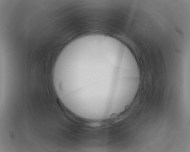 X0000114700075200910211019