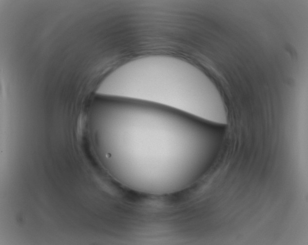 X0000114700076200910211019