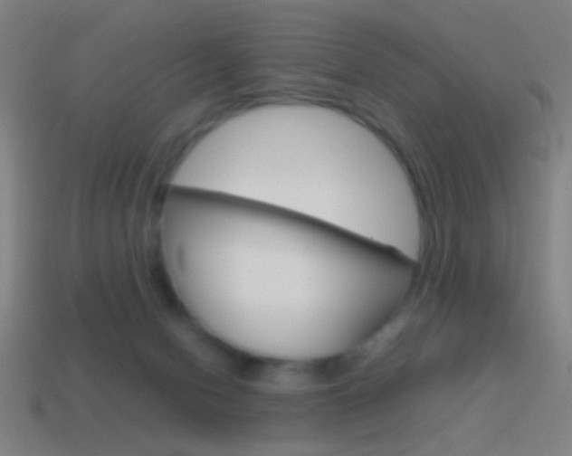 X0000114700078200910211019