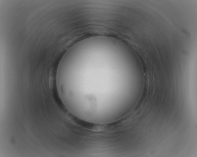 X0000114700080200910211019