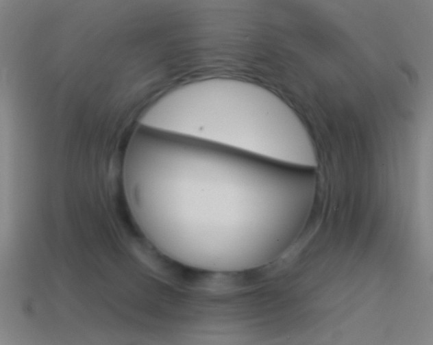 X0000114700082200910211019