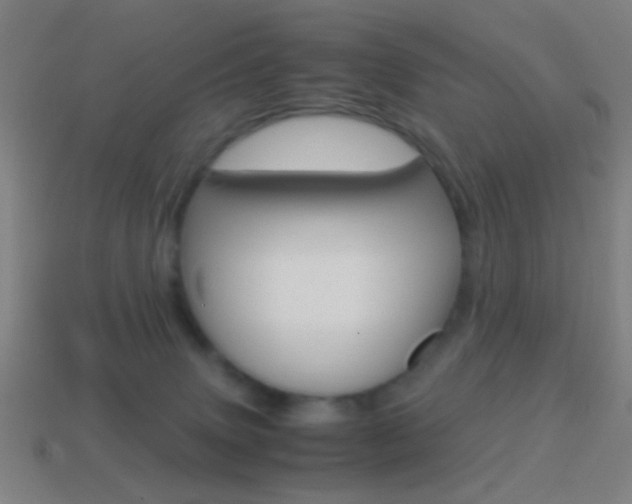 X0000114700083200910211019