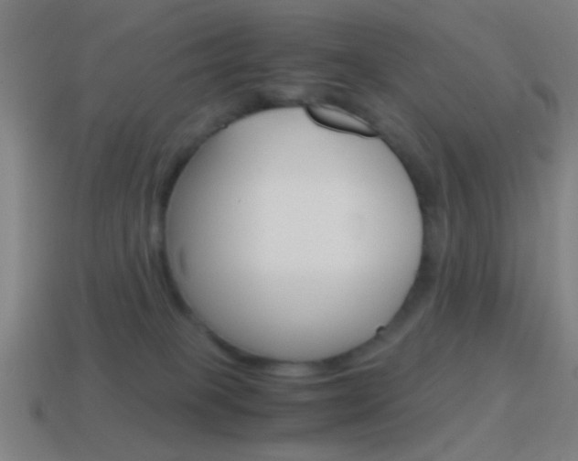 X0000114700085200910211019