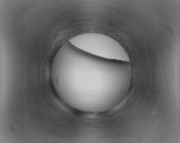 X0000114700086200910211019