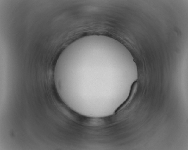 X0000114700087200910211019