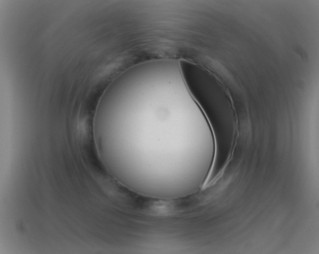 X0000114700088200910211019