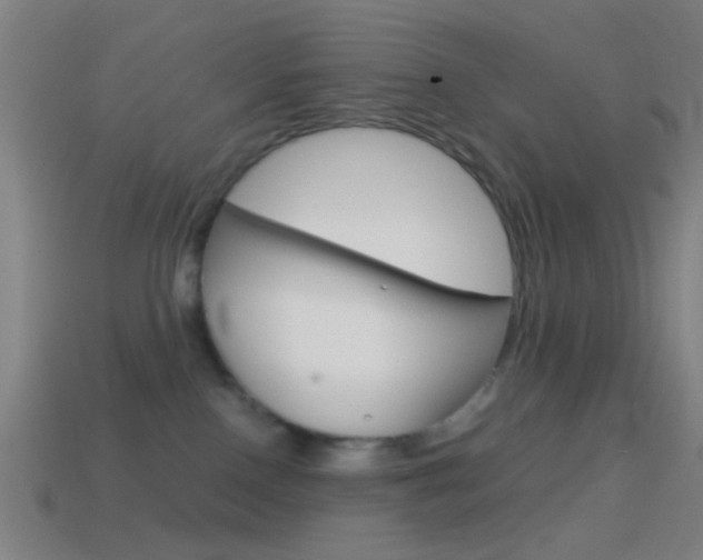 X0000114700090200910211019