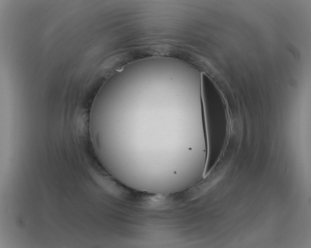 X0000114700092200910211019