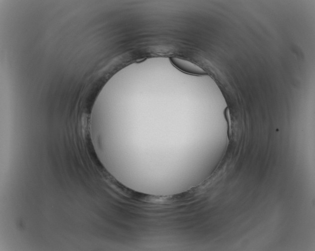 X0000114700093200910211019