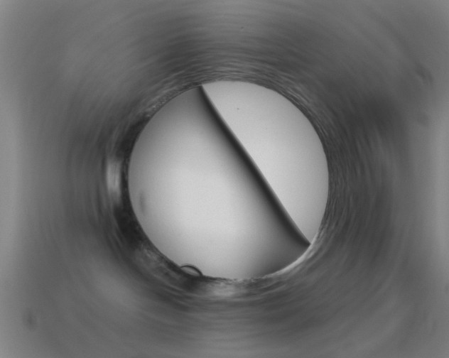 X0000114700094200910211019