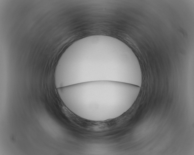 X0000114700095200910211019