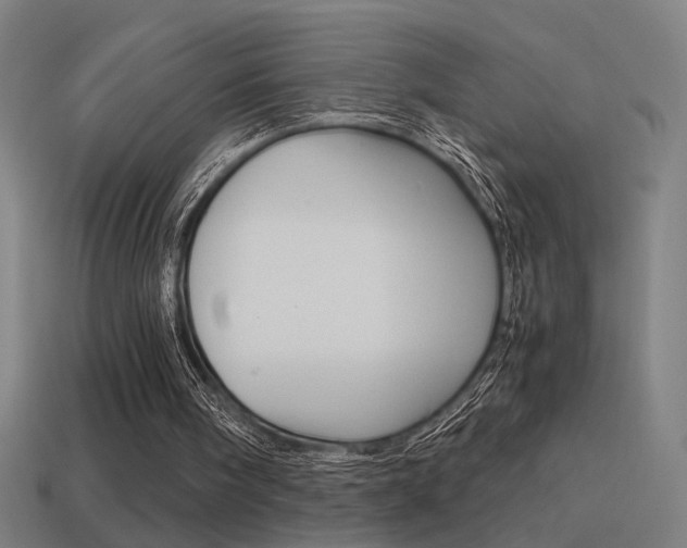 X0000114700098200910211018