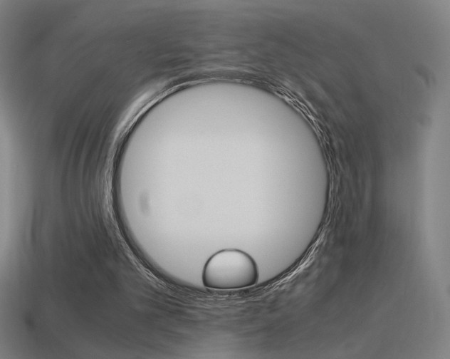 X0000114700101200910211018