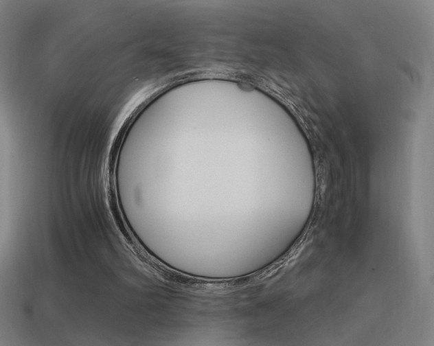 X0000114700102200910211018