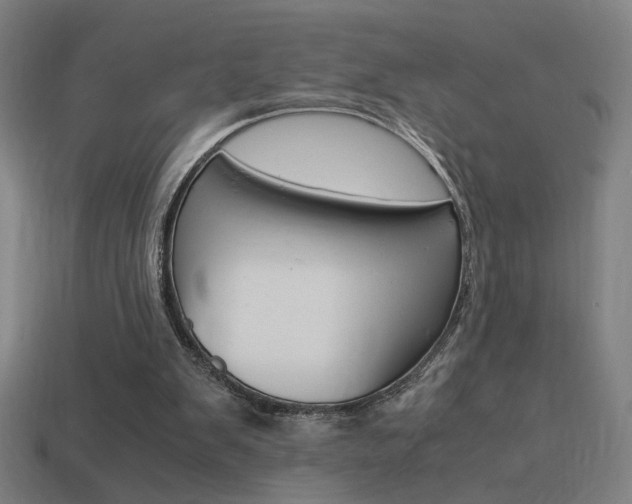 X0000114700103200910211018