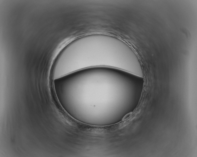 X0000114700104200910211018