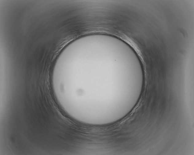 X0000114700105200910211018