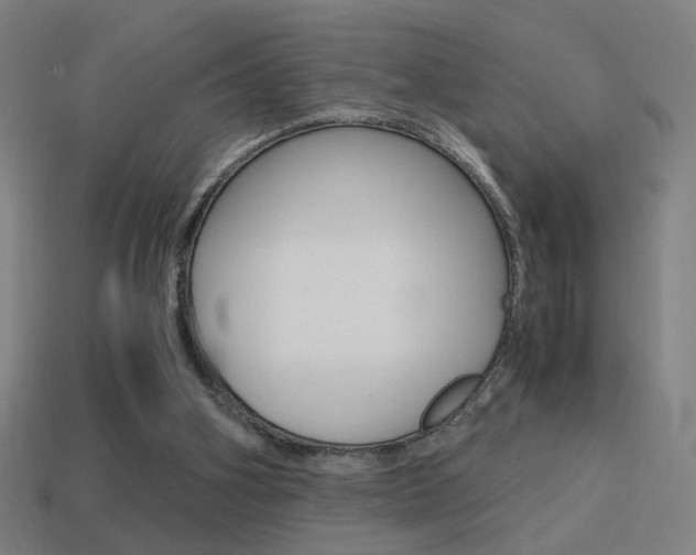 X0000114700106200910211018