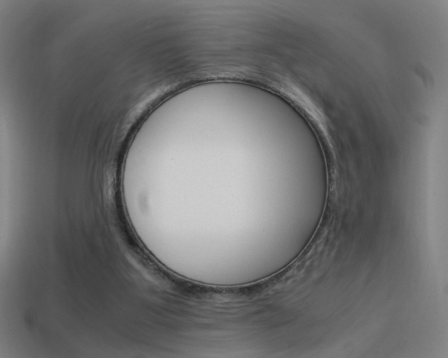 X0000114700107200910211018