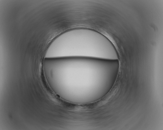 X0000114700109200910211018