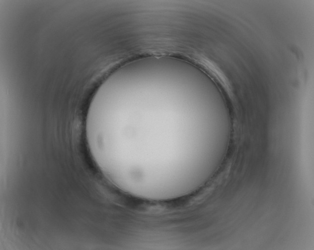 X0000114700113200910211018