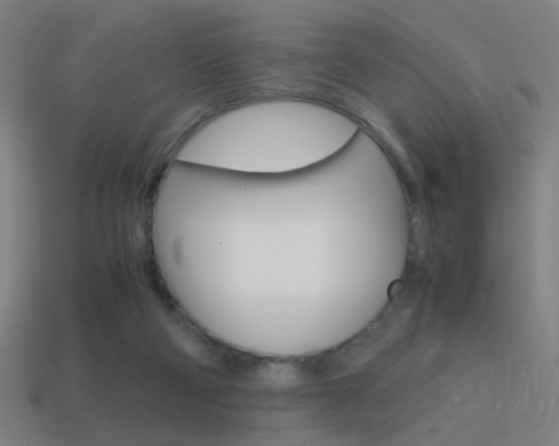 X0000114700114200910211018