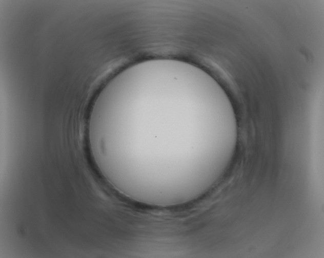 X0000114700115200910211018