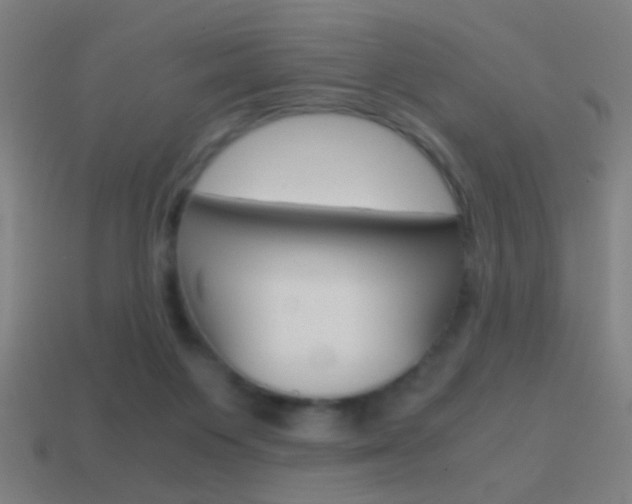 X0000114700119200910211018