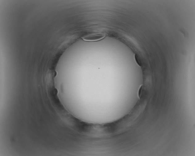 X0000114700121200910211018