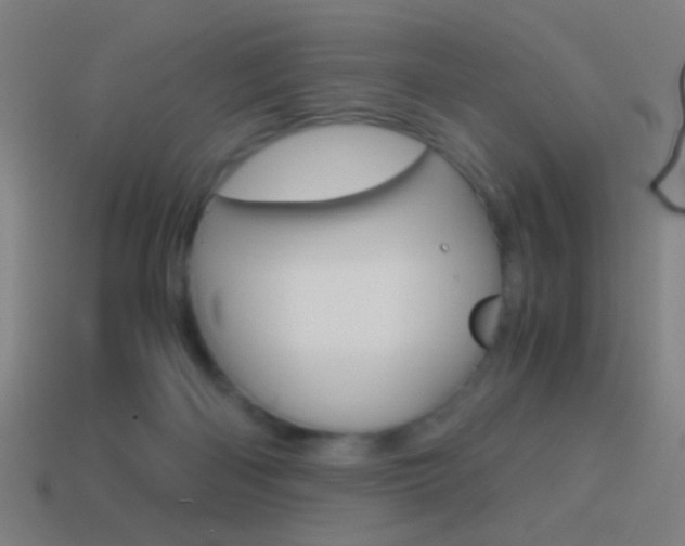 X0000114700122200910211018