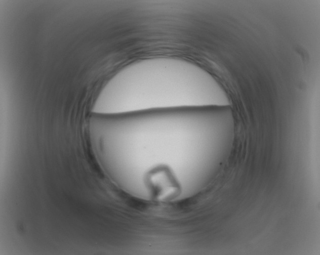 X0000114700125200910211018