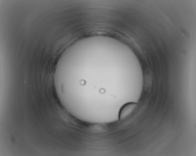 X0000114700126200910211018