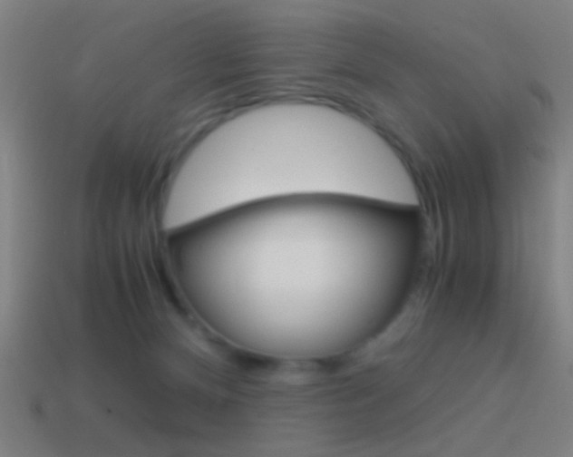 X0000114700128200910211018