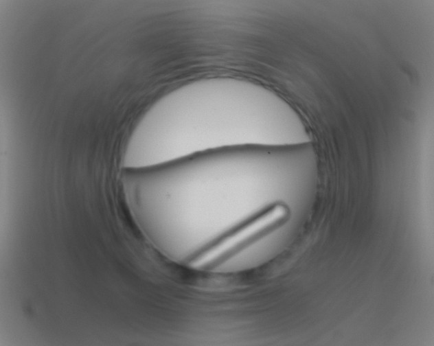 X0000114700129200910211018