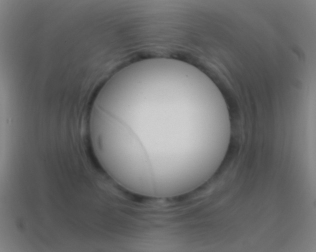 X0000114700131200910211018